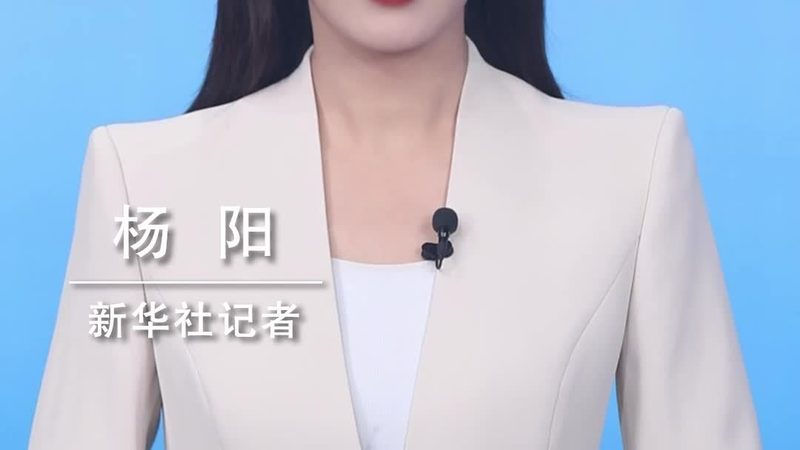 微服务治理组件的核心功能解析